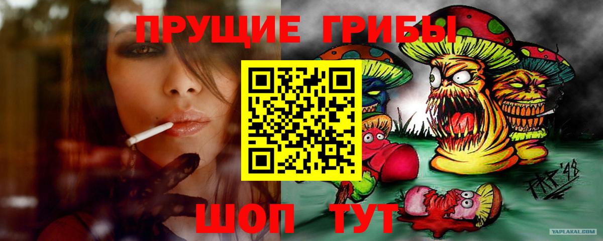 Псилоцибиновые грибы мицелий Лесной