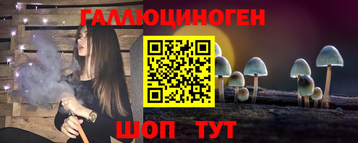 закладки  Вход с VPN  Лесной  Галлюциногенные грибы Psilocybe 